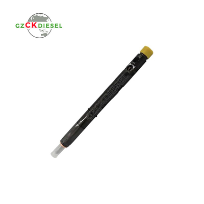 Injecteur de carburant diesel à rampe commune EJBR05601D 166000897R